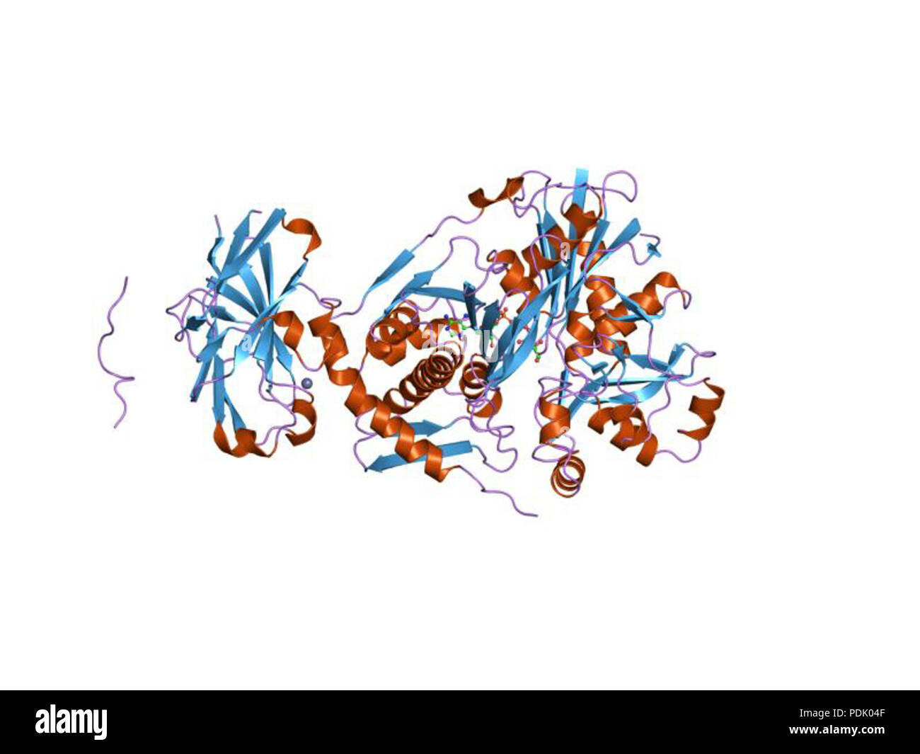 43 HVE 1 gle EBI Stockfoto