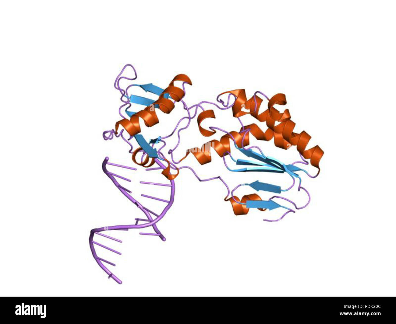 52 HVE 1 i 6 j EBI Stockfoto