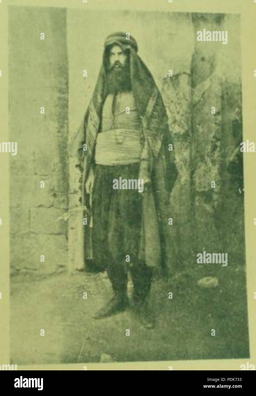 258 Petar Kushev Stockfoto