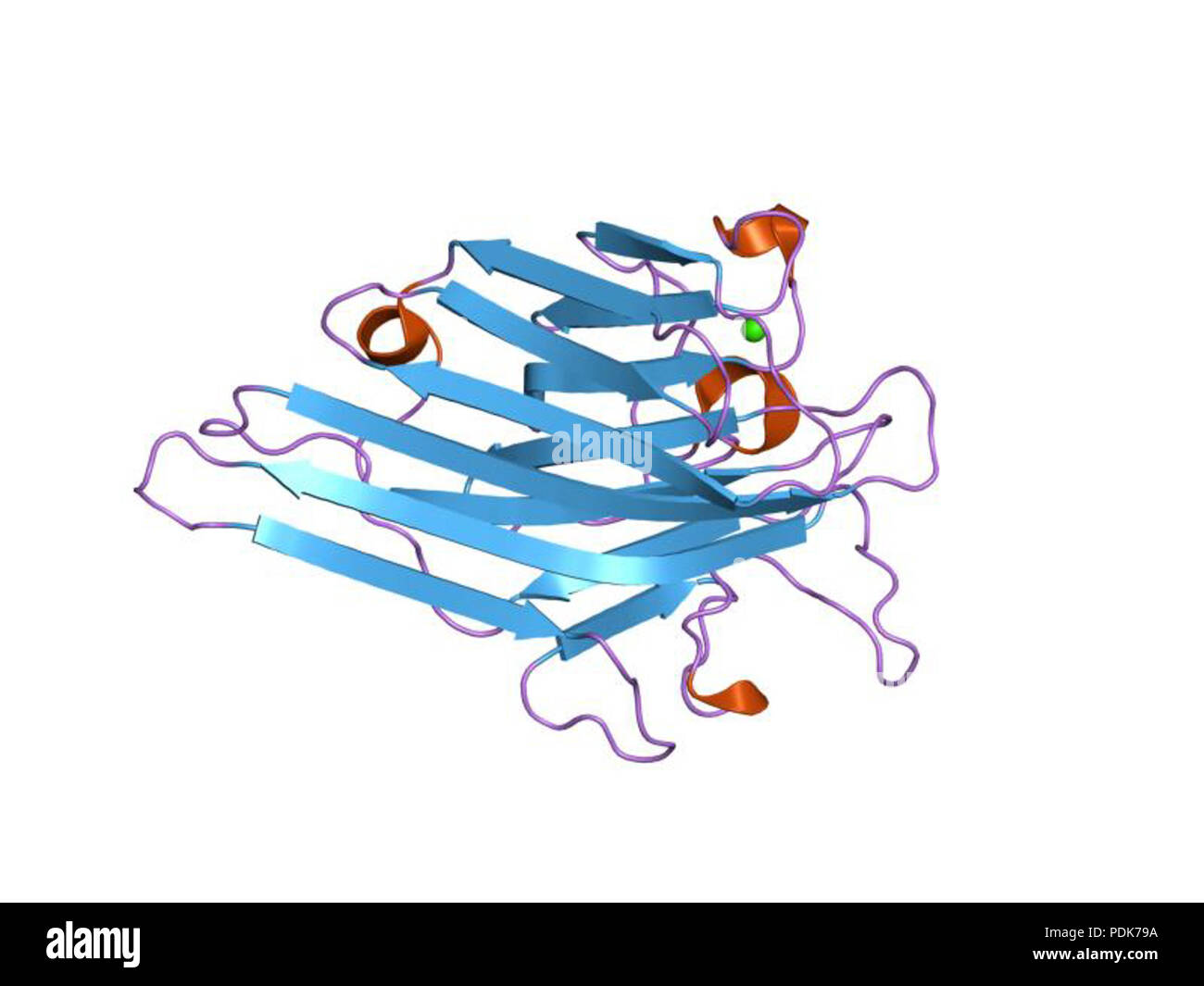 31 HVE 1 enr EBI Stockfoto
