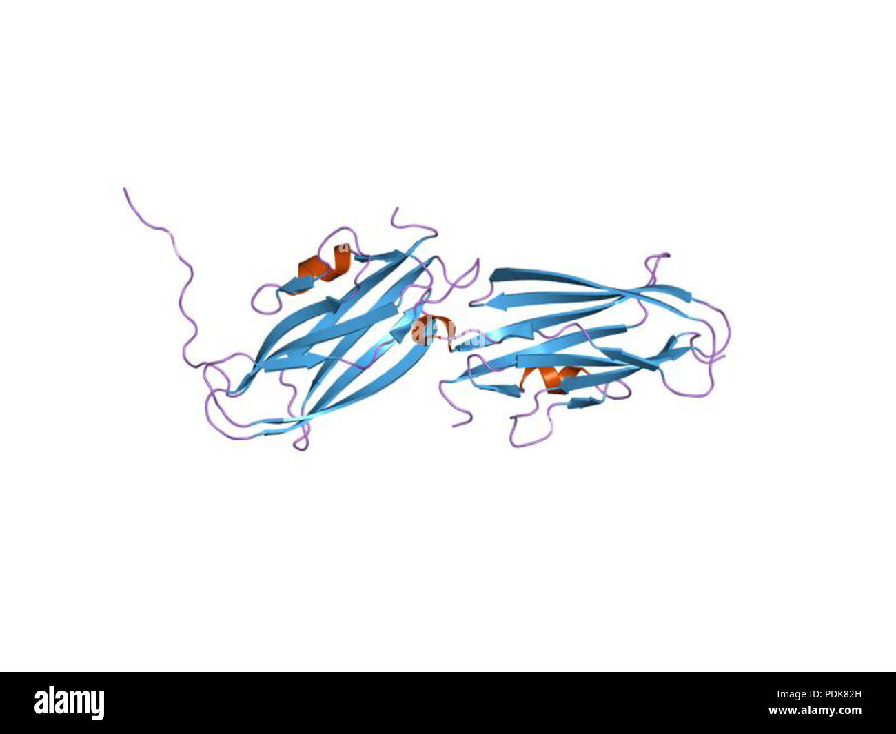 38 HVE 1 fst EBI Stockfoto