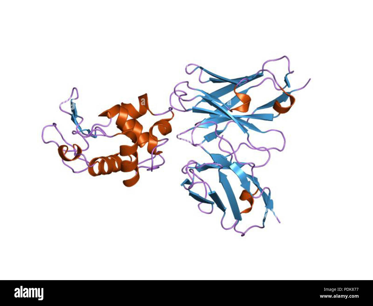 40 PDB1g7m EBI Stockfoto