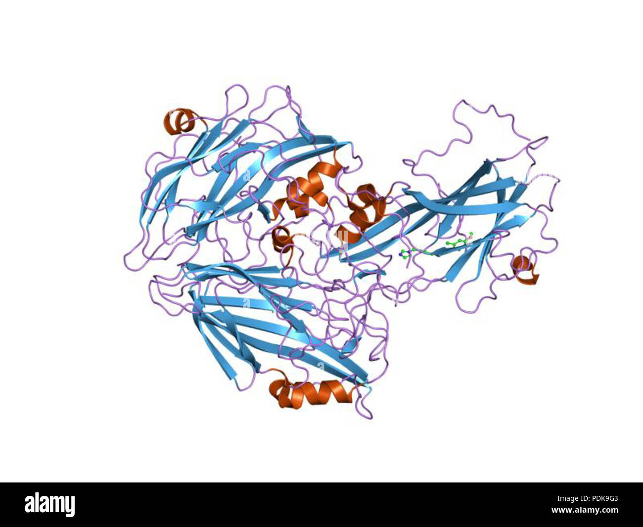 49 HVE 1 hri EBI Stockfoto