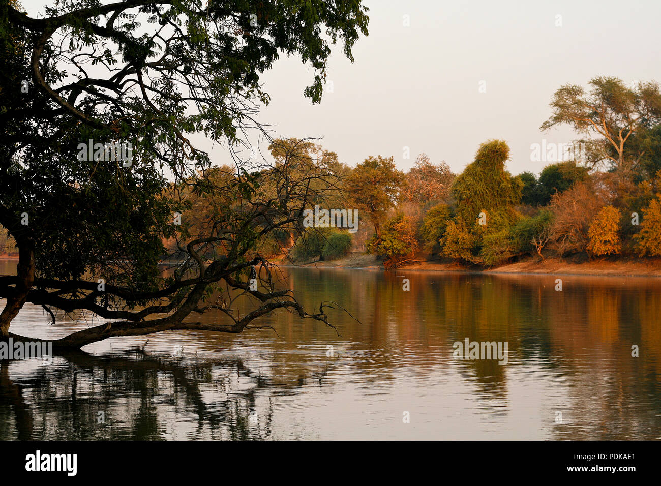 Pool, Mana Pools National Park. Simbabwe Stockfoto