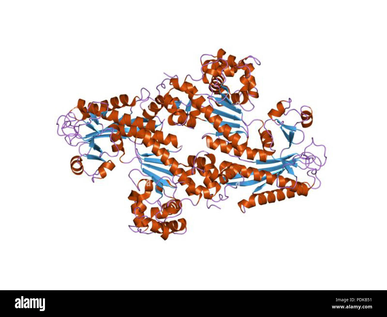 60 HVE 1 jih EBI Stockfoto