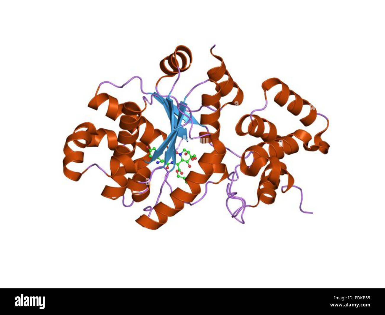 60 HVE 1 jik EBI Stockfoto