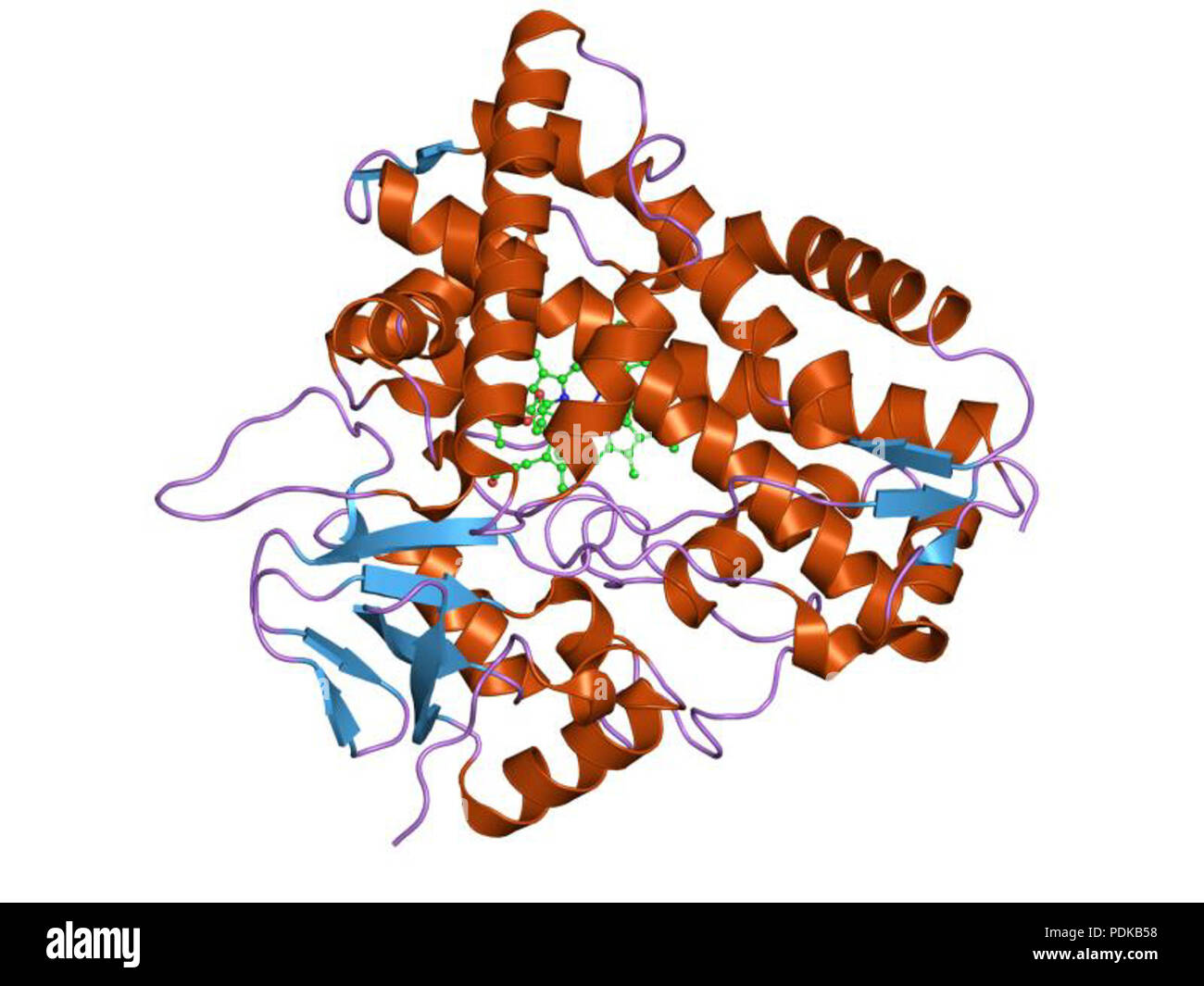 60 HVE 1 jio EBI Stockfoto
