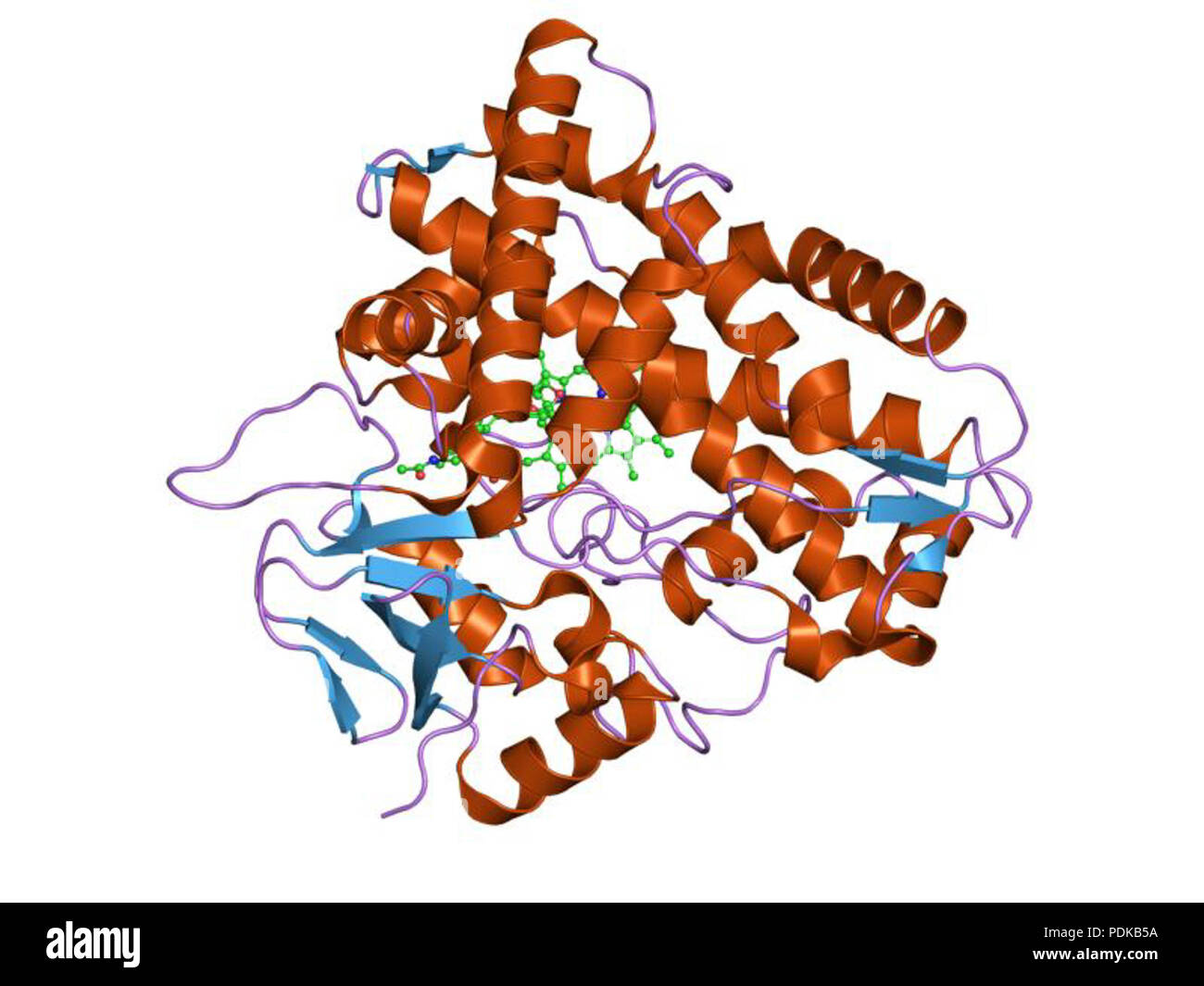 60 HVE 1 jip EBI Stockfoto