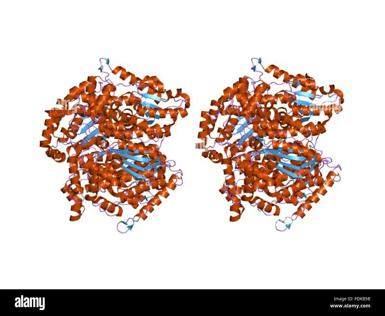 60 HVE 1 jiq EBI Stockfoto