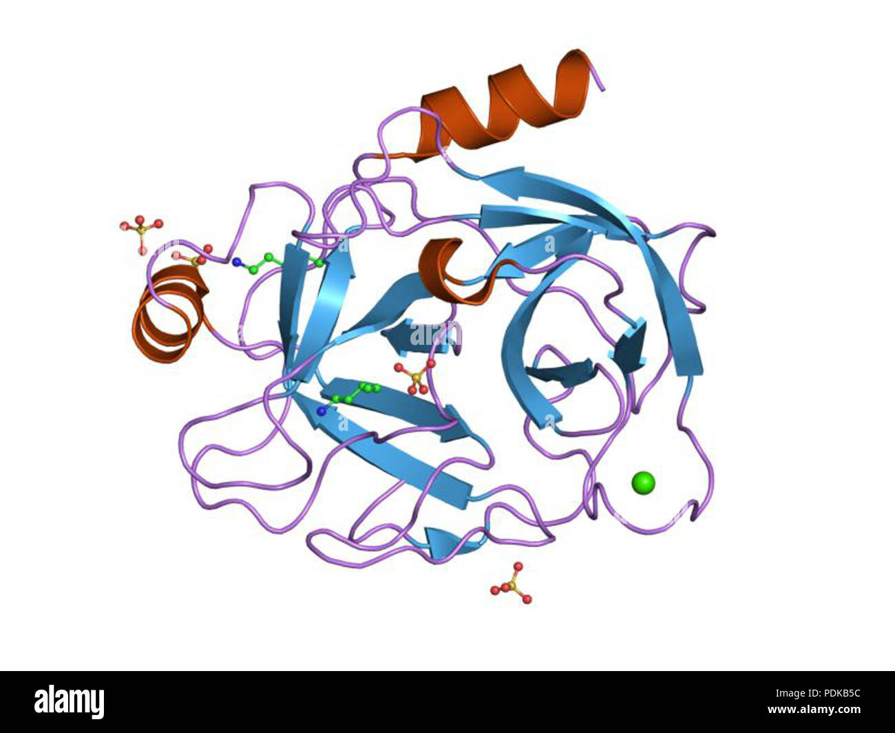 60 HVE 1 jir EBI Stockfoto