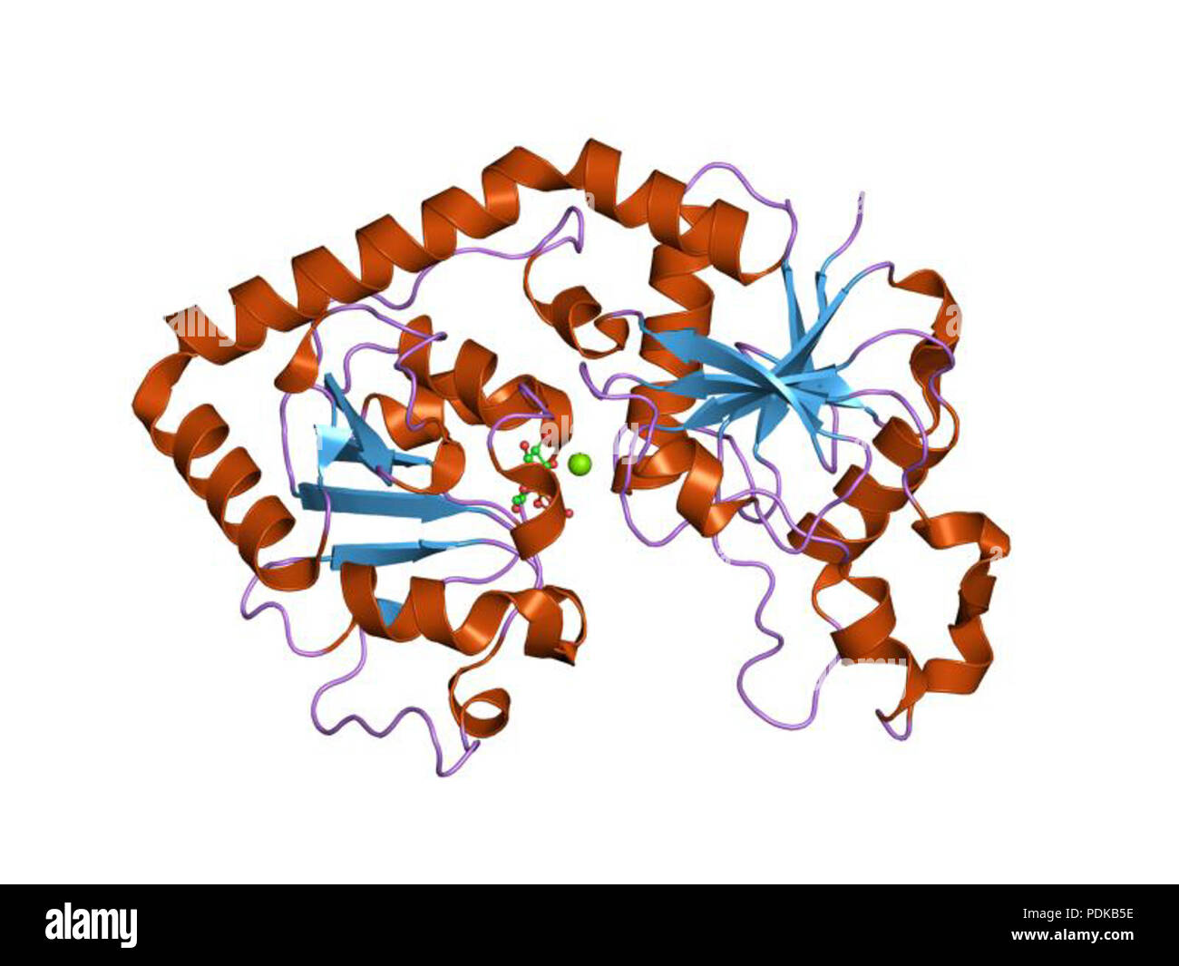 60 HVE 1 jiu EBI Stockfoto