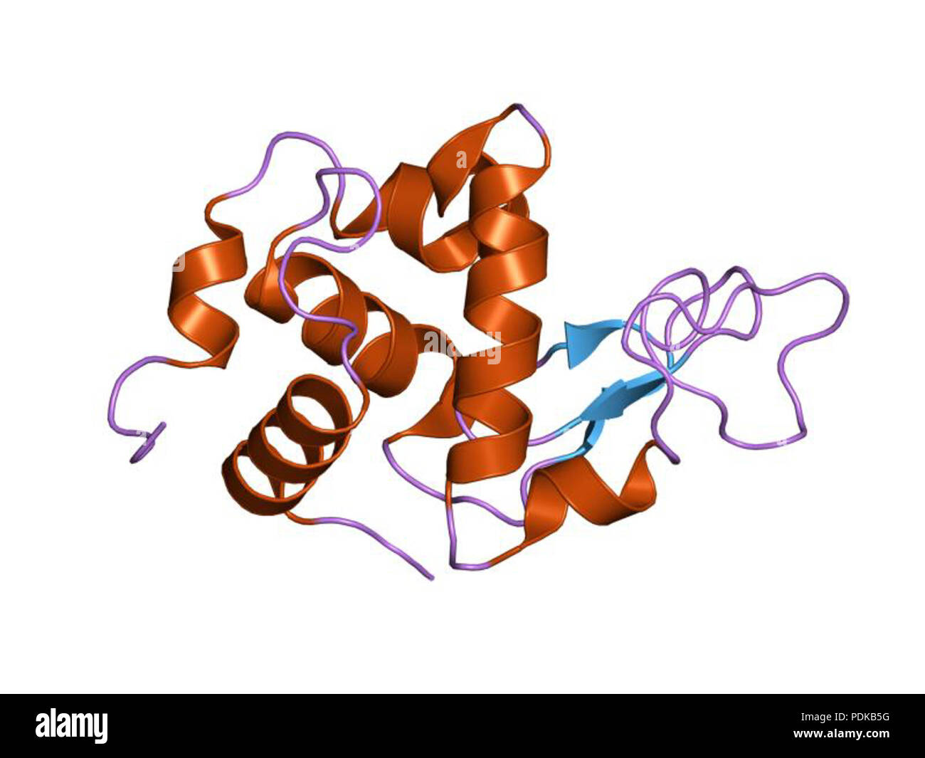 60 HVE 1 JIT-EBI Stockfoto