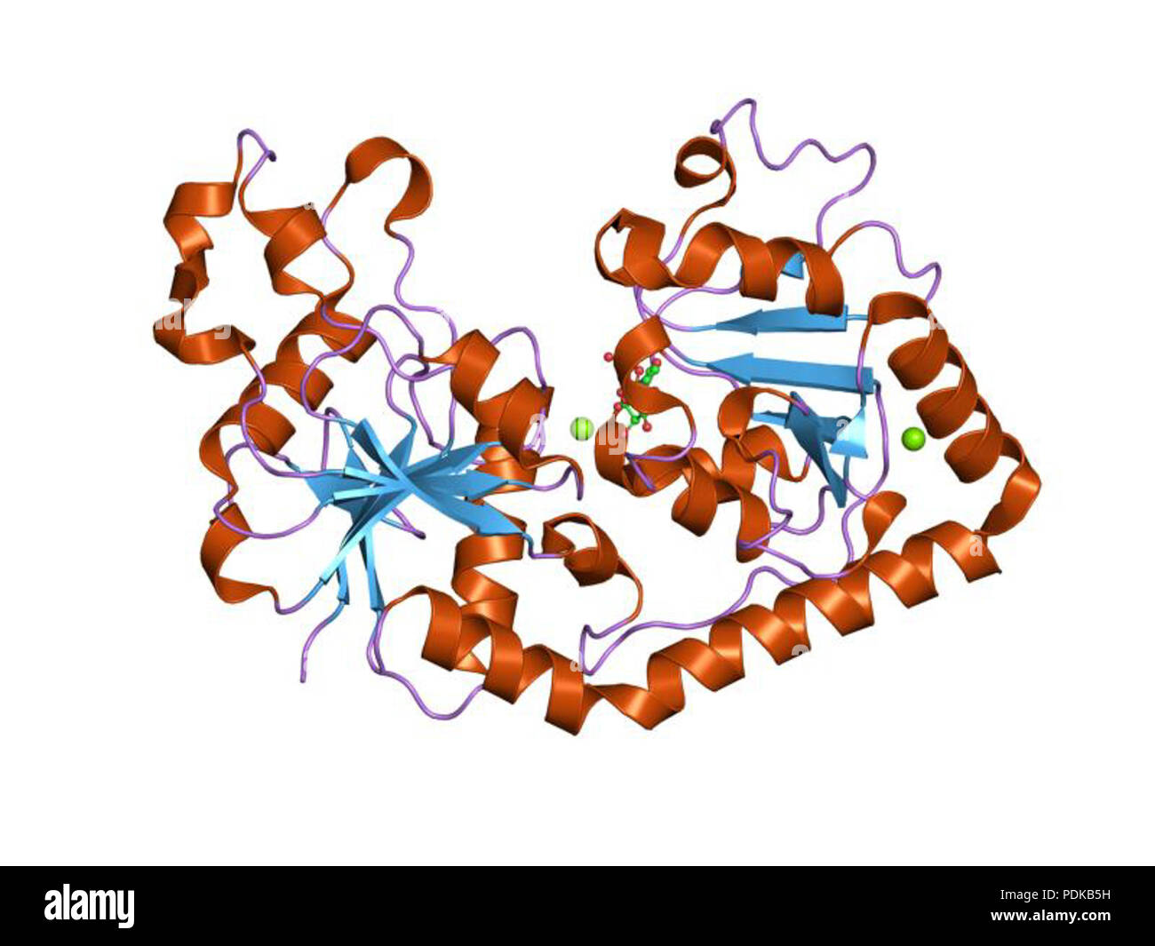 60 HVE 1 jiv EBI Stockfoto