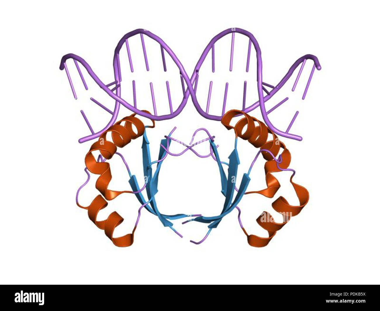 60 HVE 1 jj 4 EBI Stockfoto