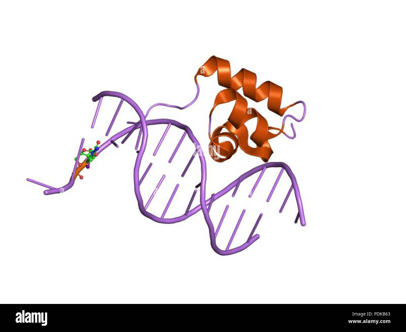 60 HVE 1 jj 8 EBI Stockfoto