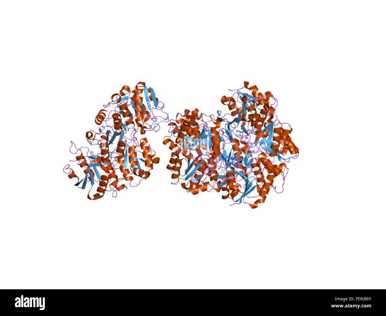 60 HVE 1 jja EBI Stockfoto