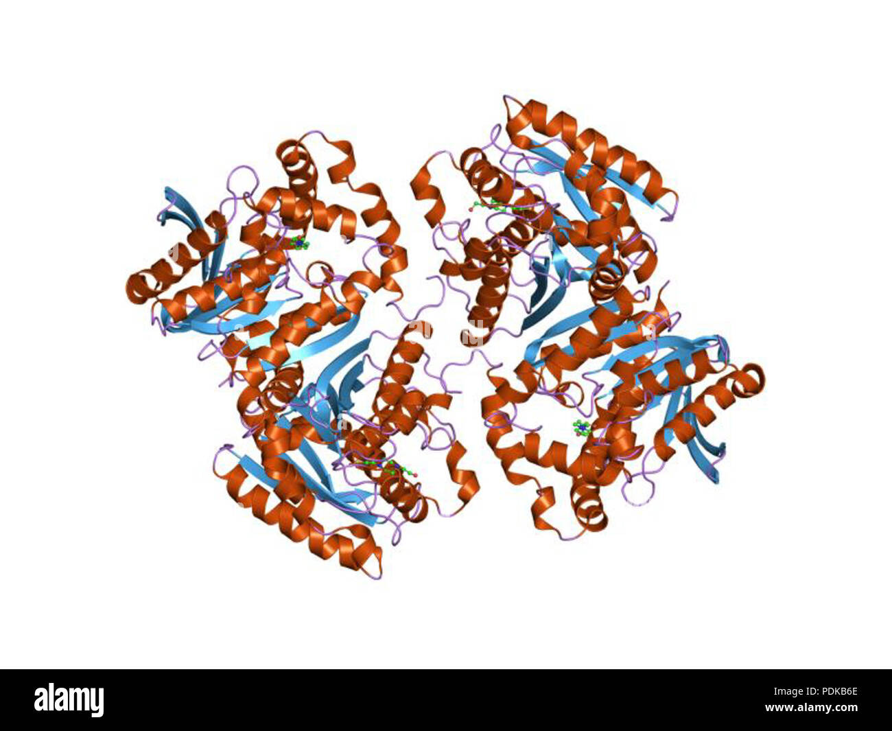60 HVE 1 jji EBI Stockfoto