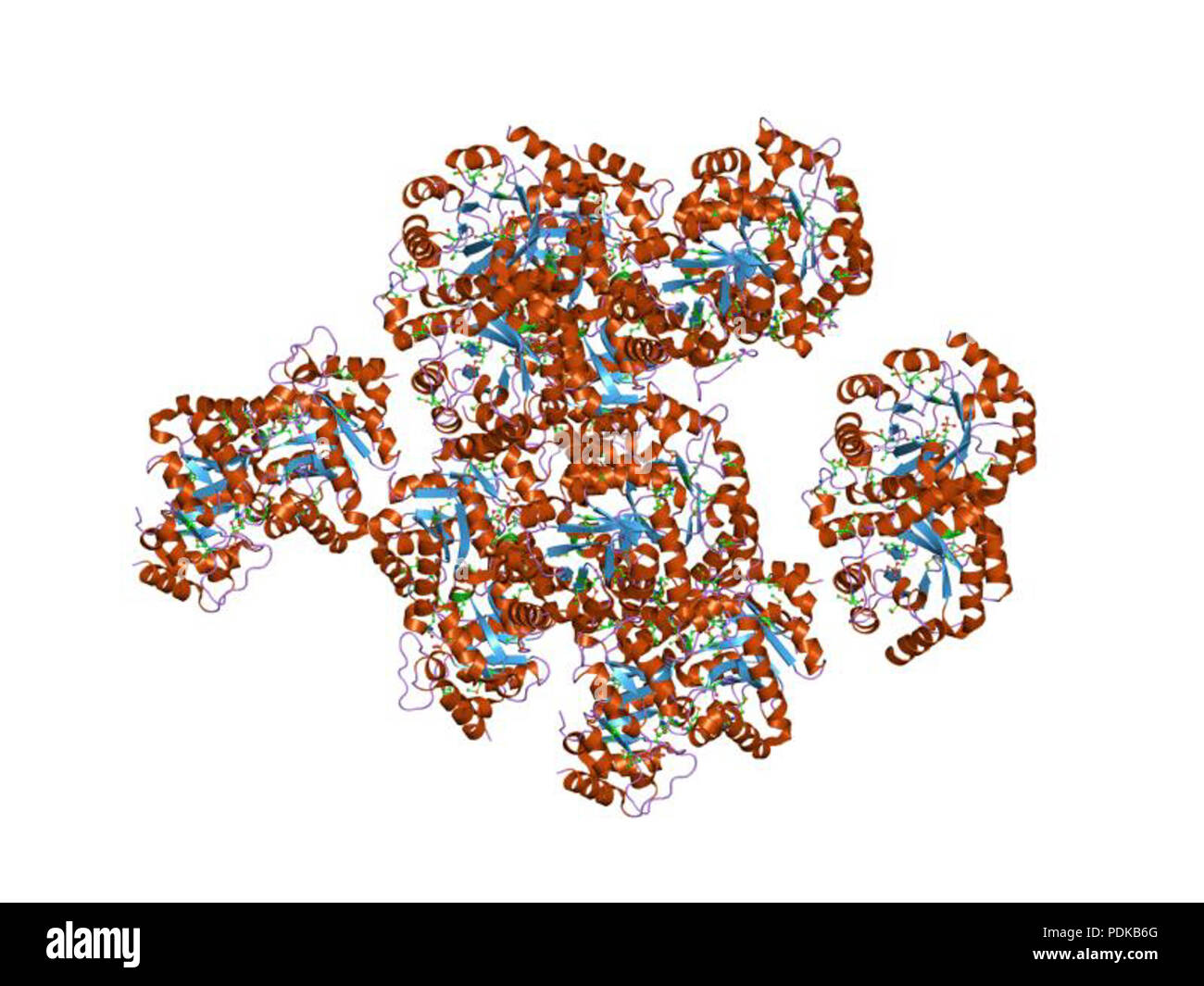 60 HVE 1 jjk EBI Stockfoto