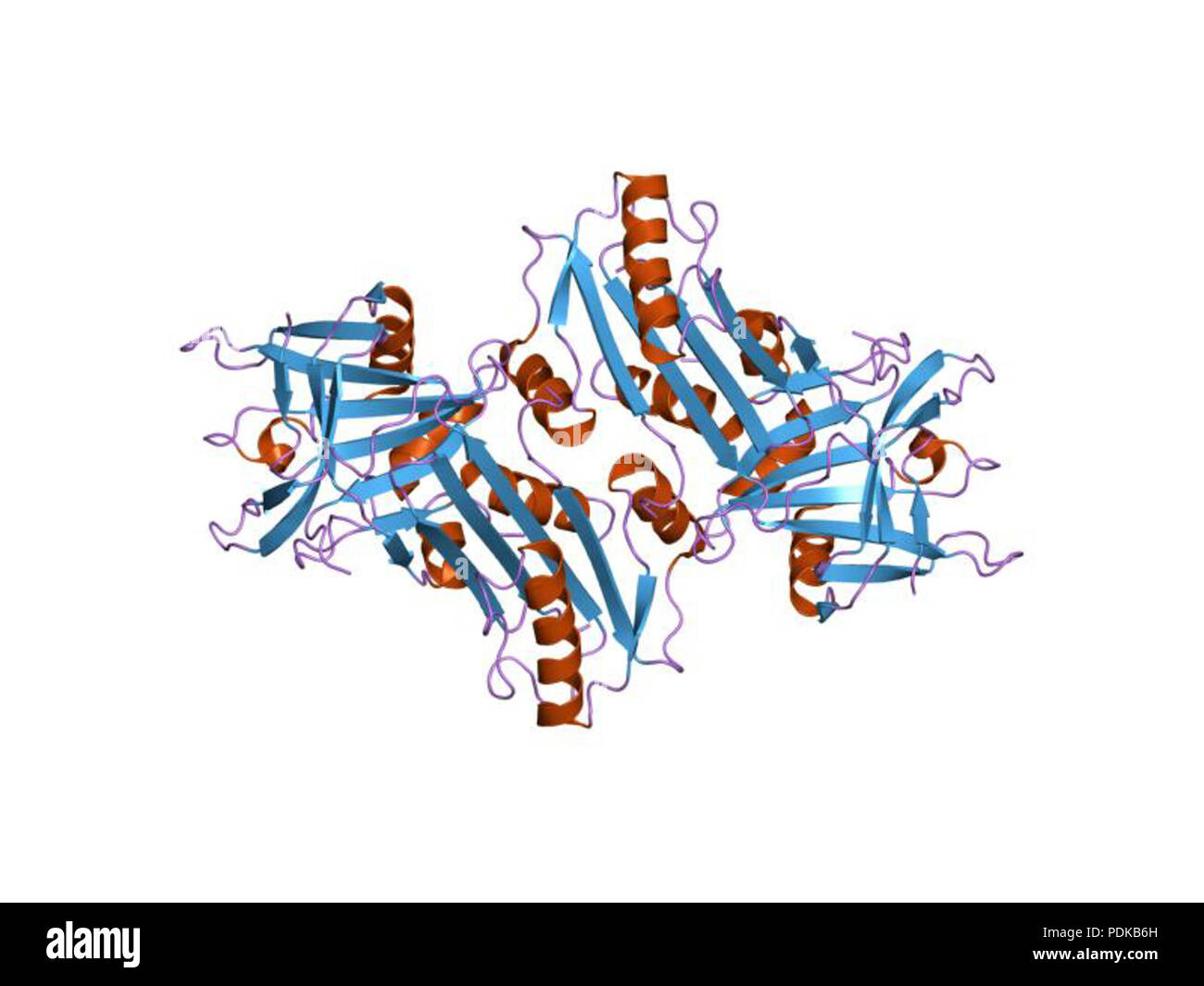 60 HVE 1 jjo EBI Stockfoto