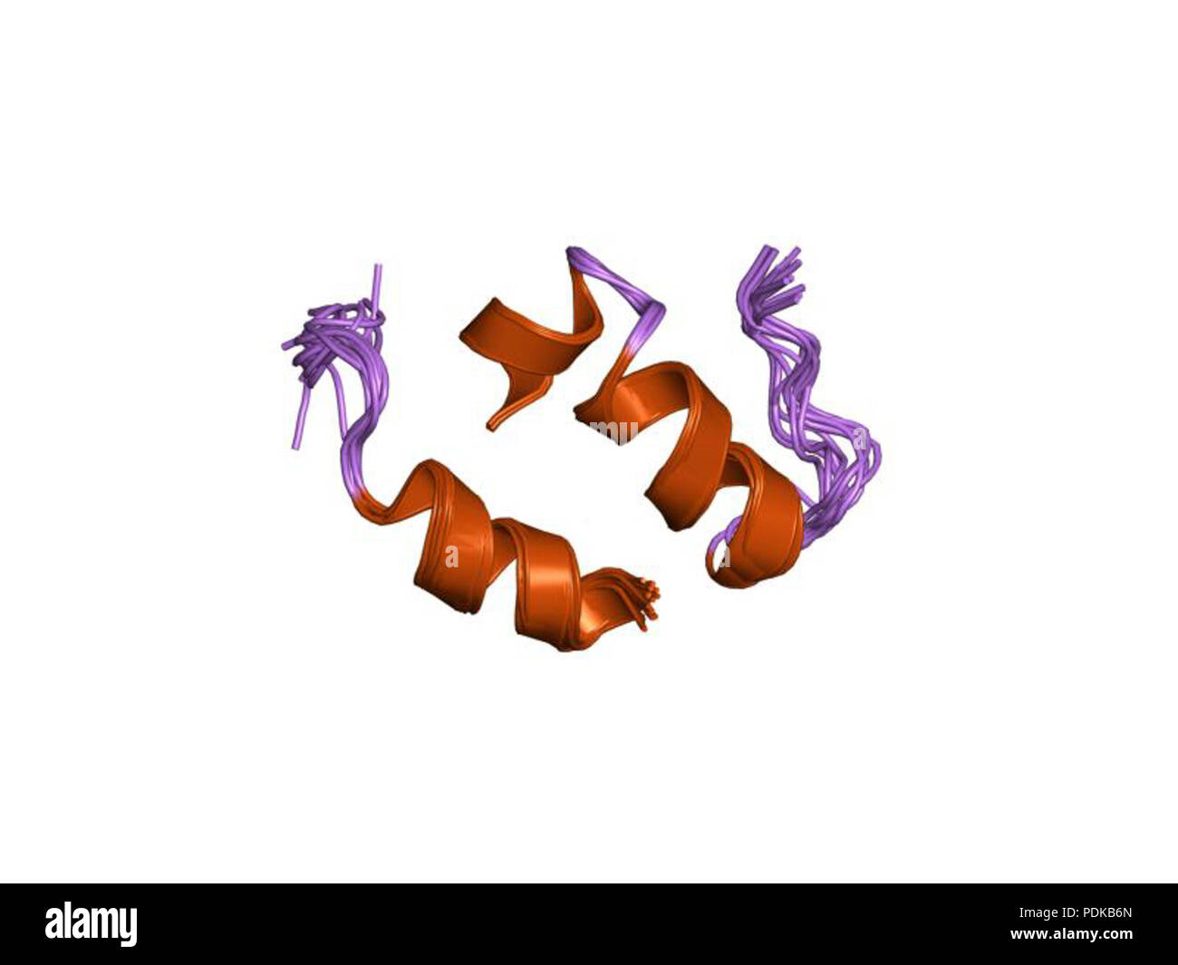 60 HVE 1 jjs EBI Stockfoto