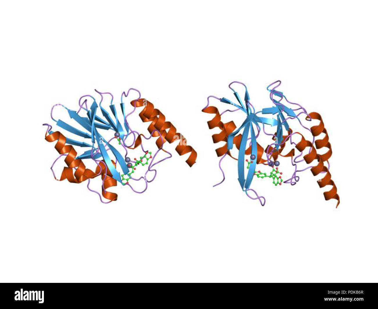 60 HVE 1 jjt EBI Stockfoto
