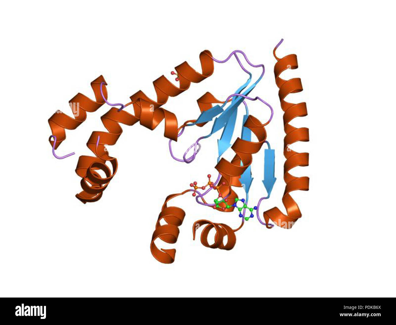 60 HVE 1 jjv EBI Stockfoto