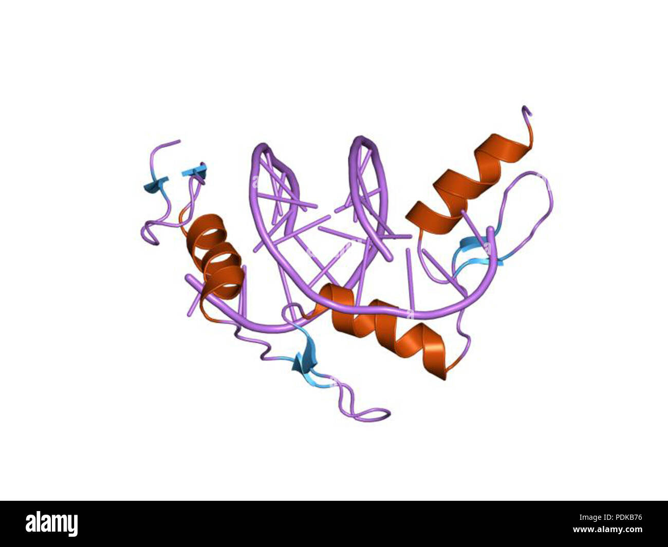 60 HVE 1 Jk 2 EBI Stockfoto