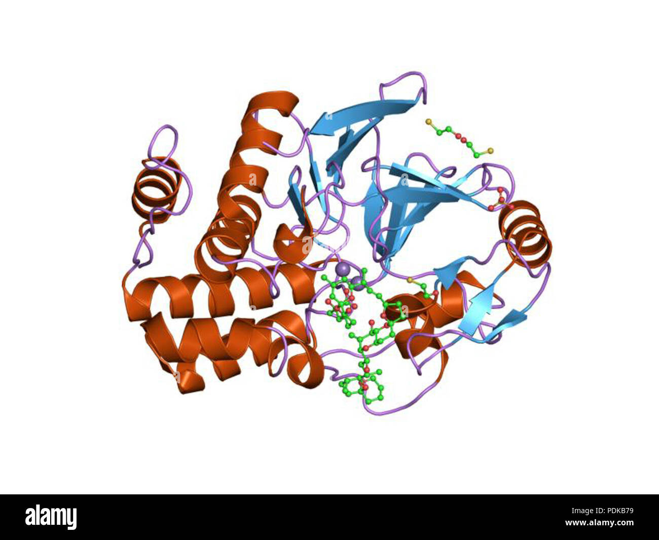 60 HVE 1 Jk 7 EBI Stockfoto