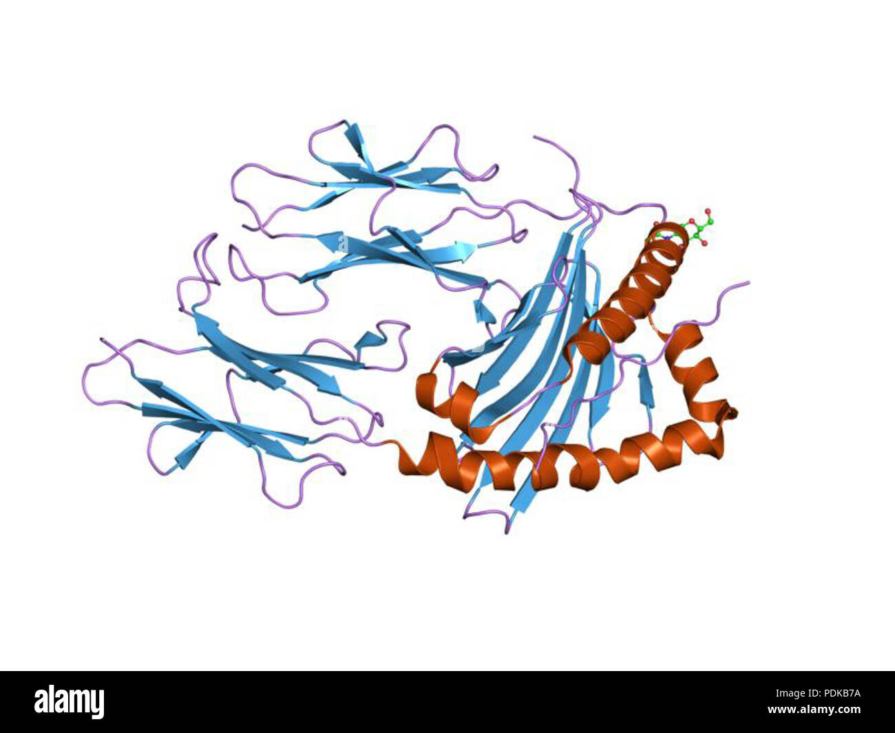 60 HVE 1 Jk 8 EBI Stockfoto