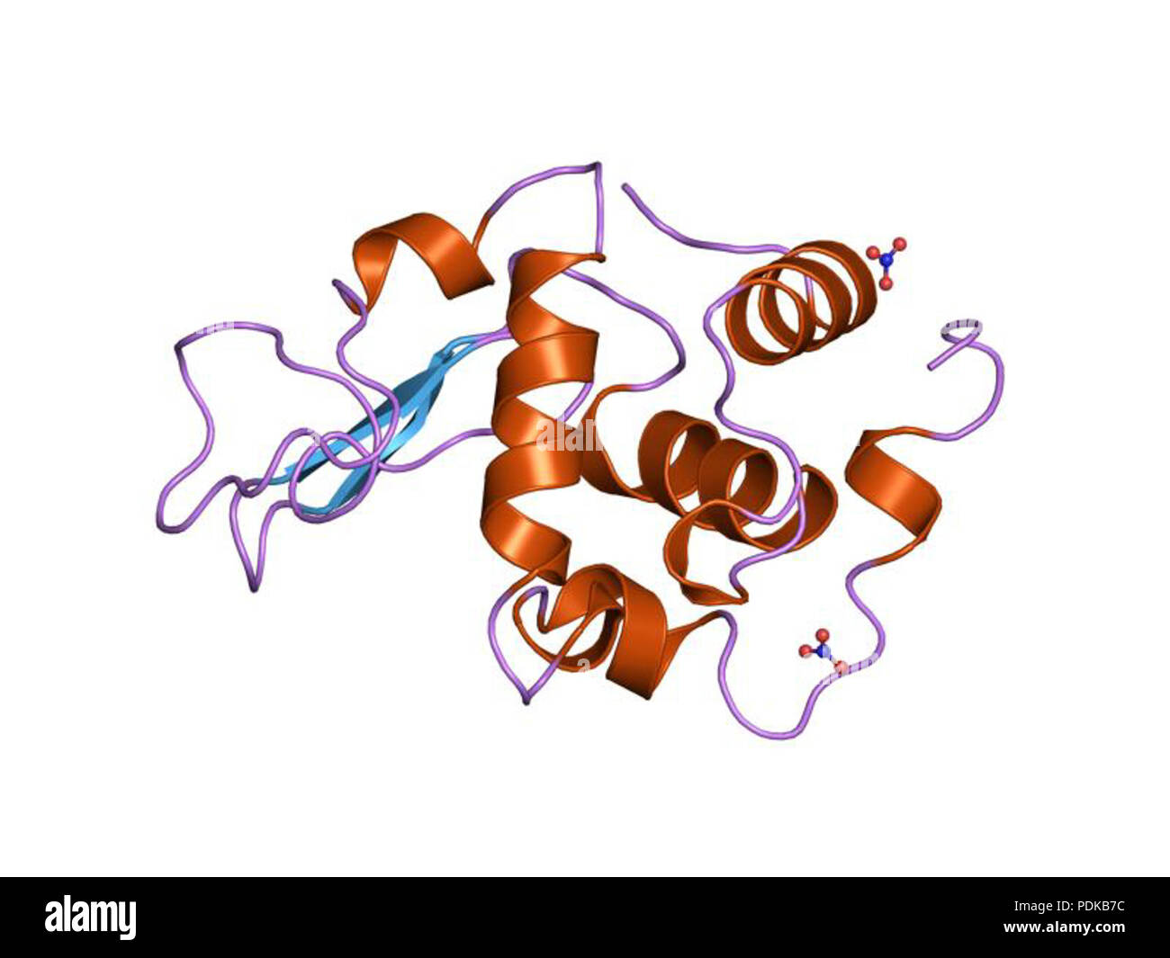 60 HVE 1 jka EBI Stockfoto