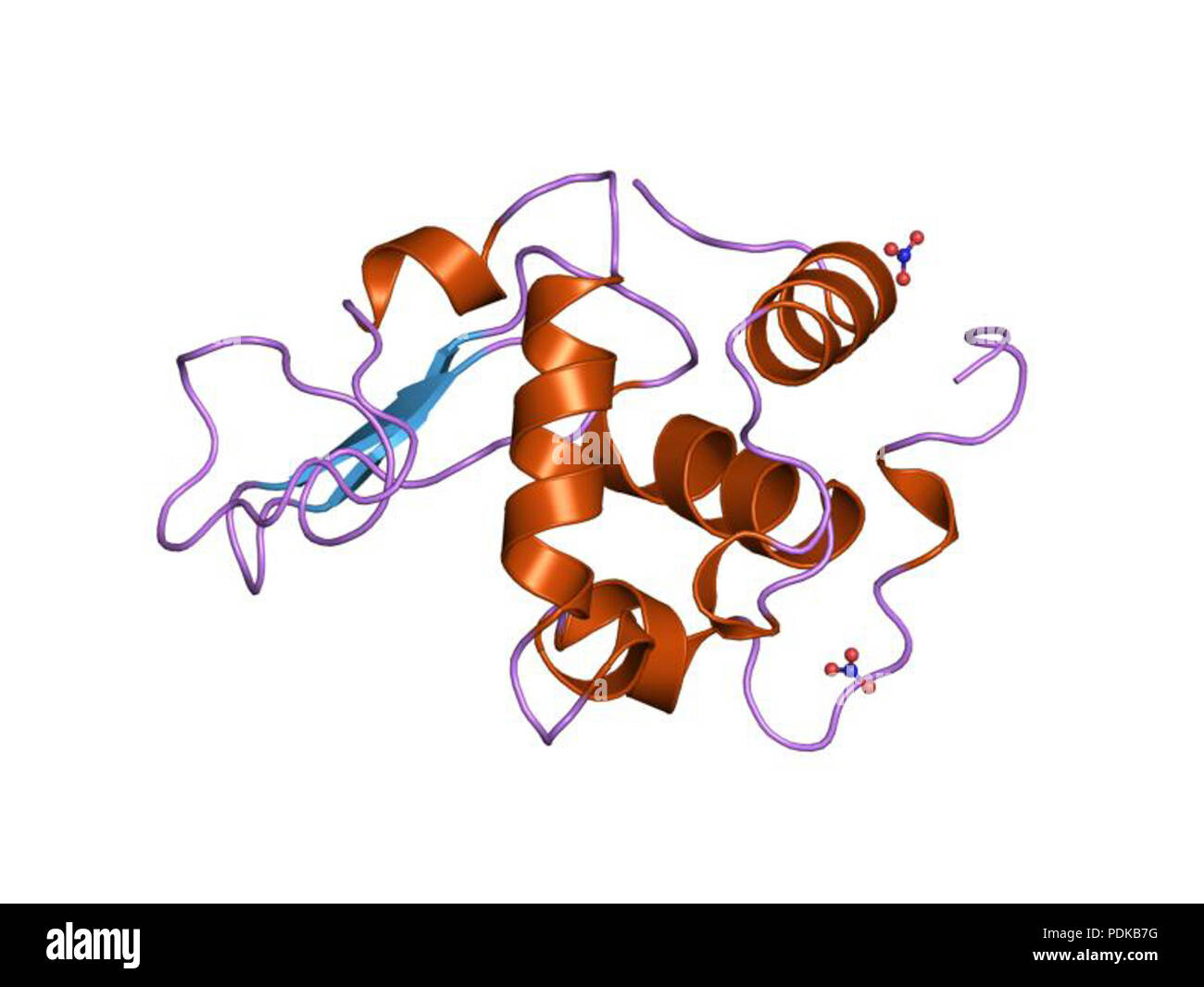 60 HVE 1 jkc EBI Stockfoto