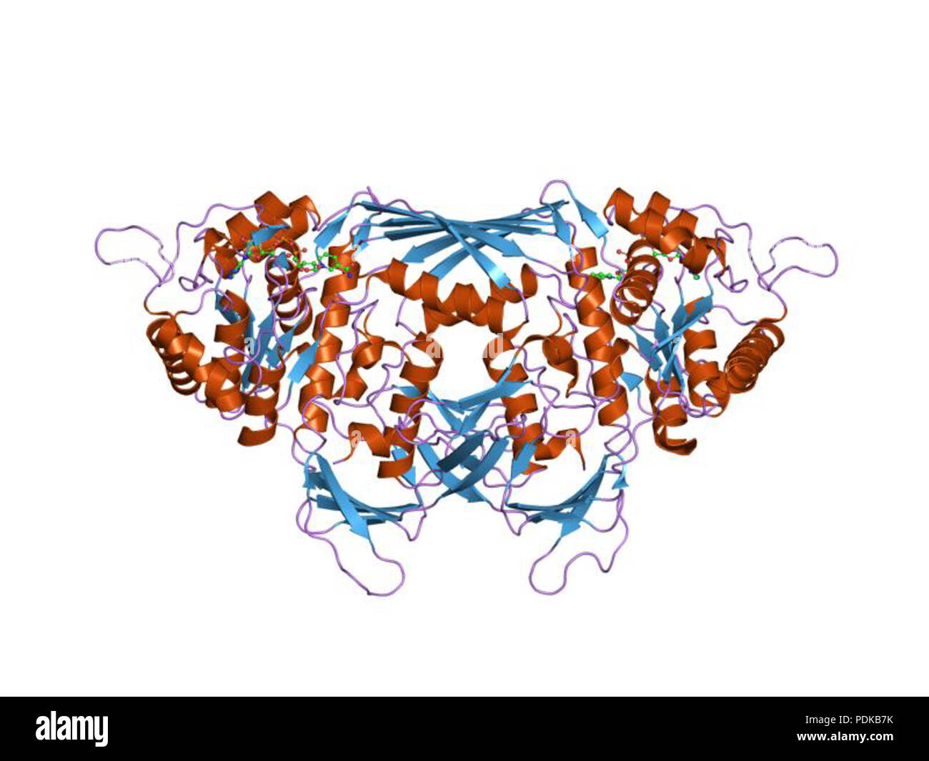 60 HVE 1 Stiftung EBI Stockfoto