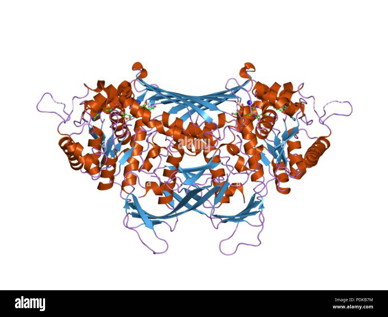60 HVE 1 jki EBI Stockfoto