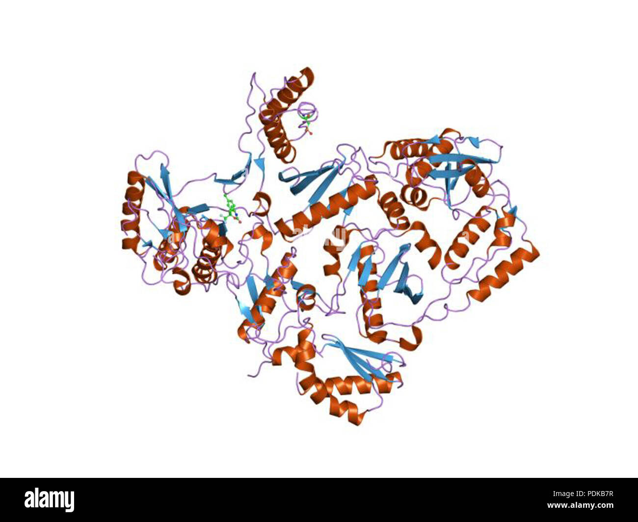 60 HVE 1 jkh EBI Stockfoto