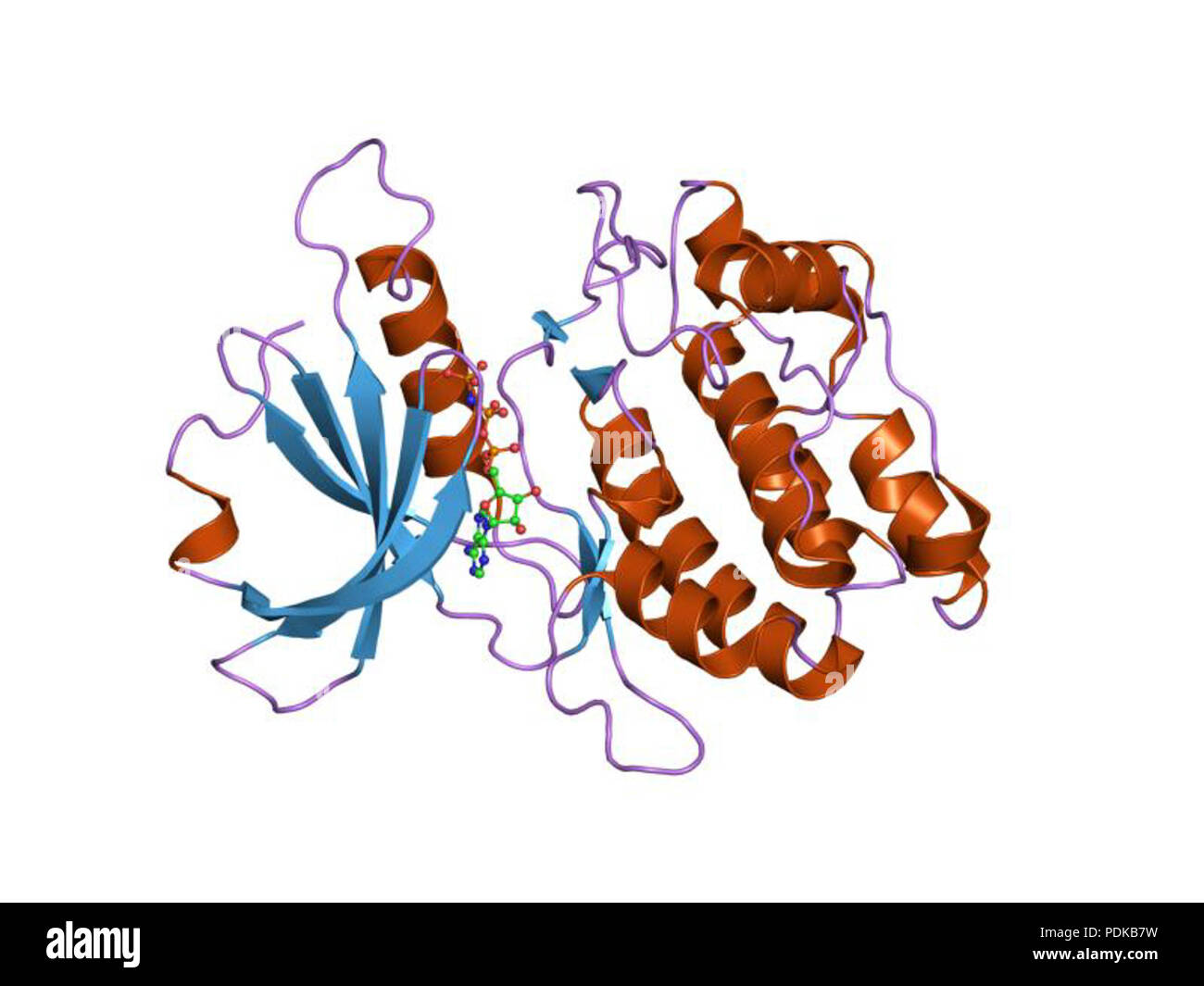 60 HVE 1 JKL EBI Stockfoto