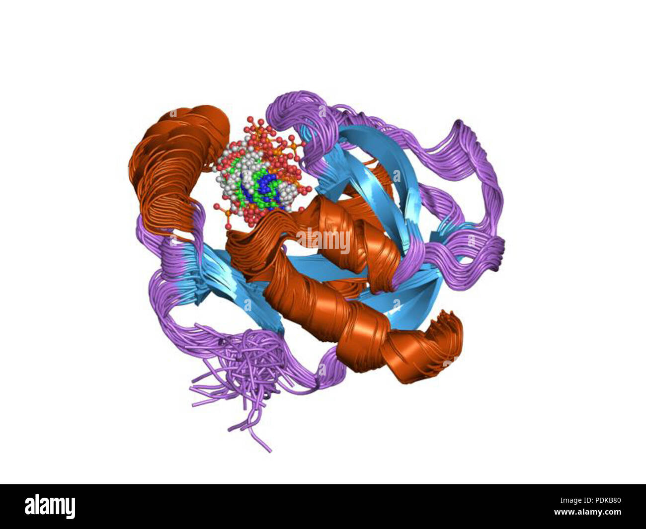 60 PDB1JKN EBI Stockfoto