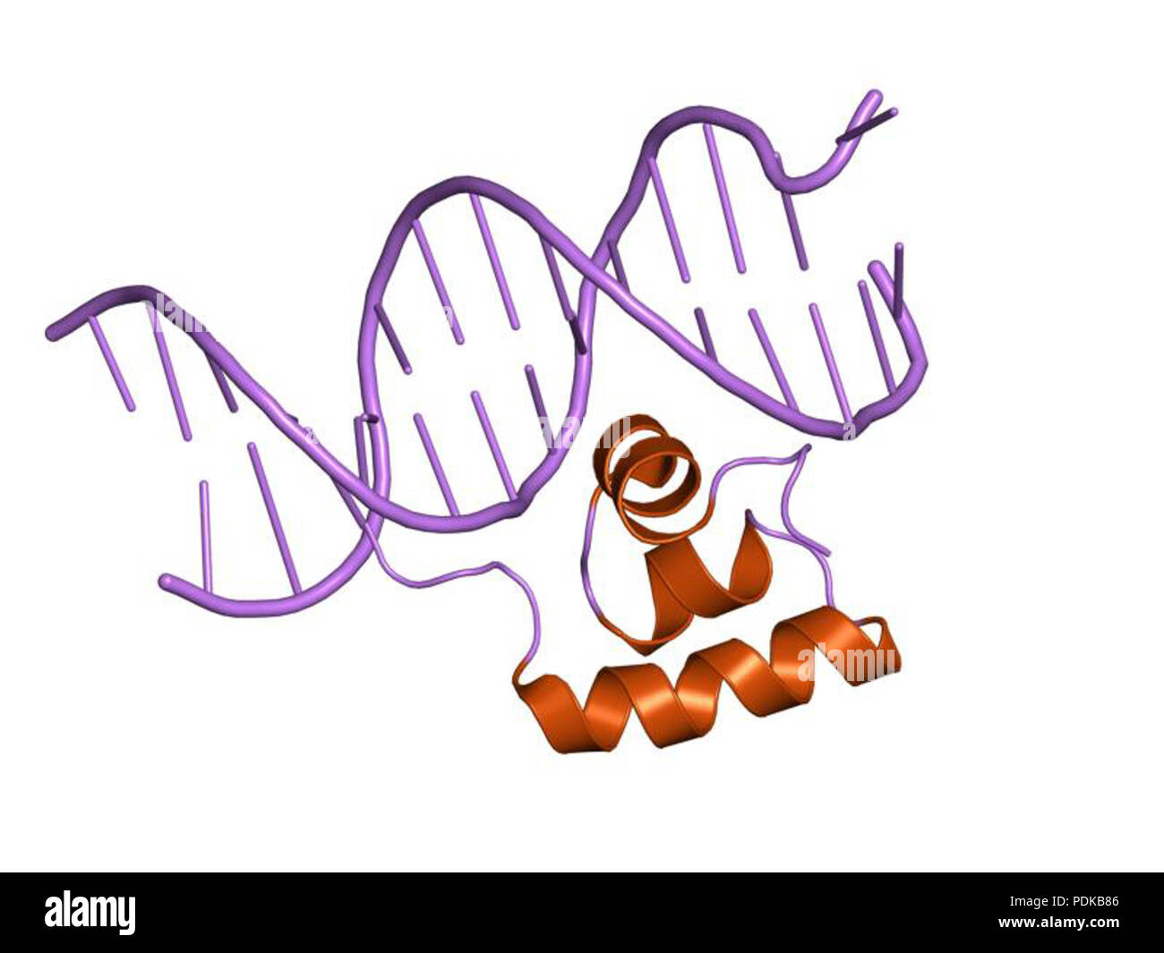 60 HVE 1 jkq EBI Stockfoto