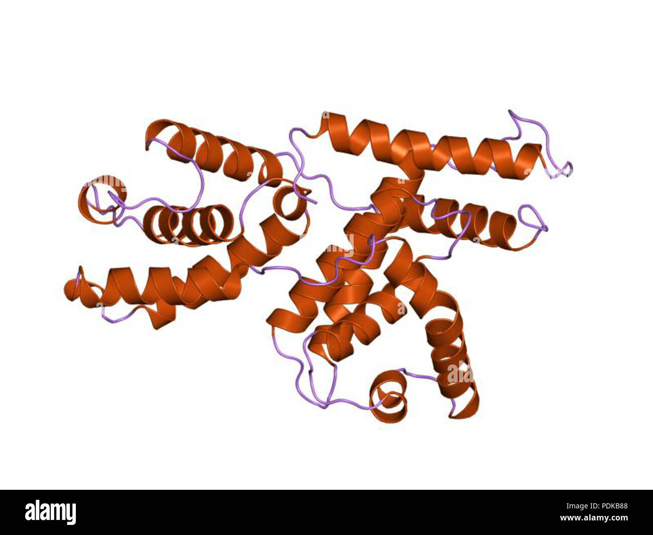 60 HVE 1 jkw EBI Stockfoto