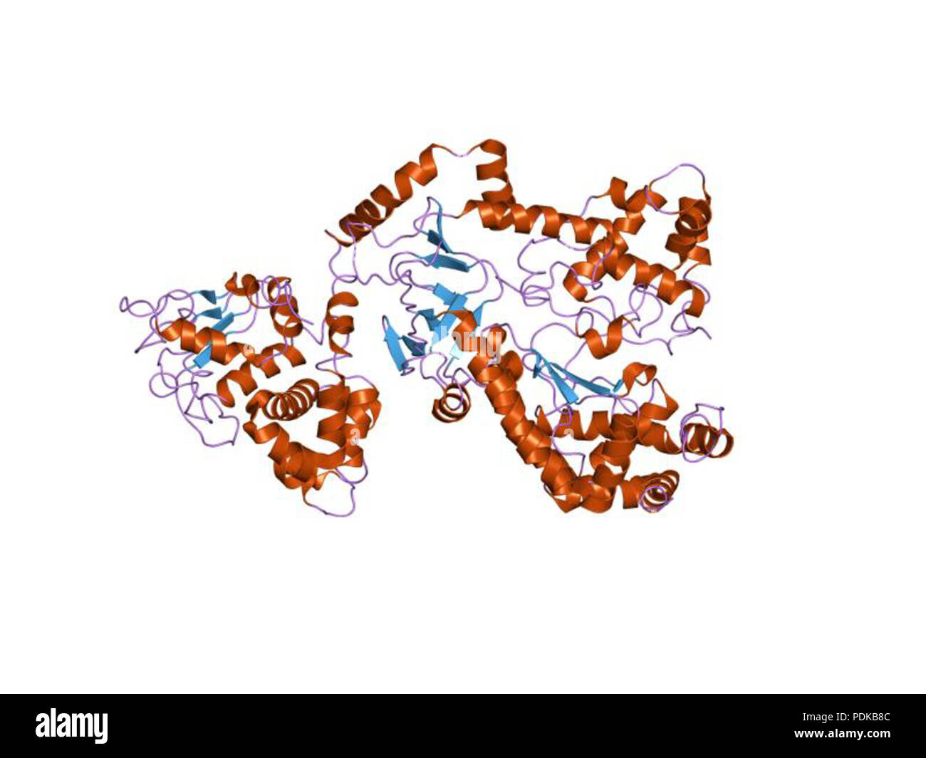 60 PDB1JKY EBI Stockfoto