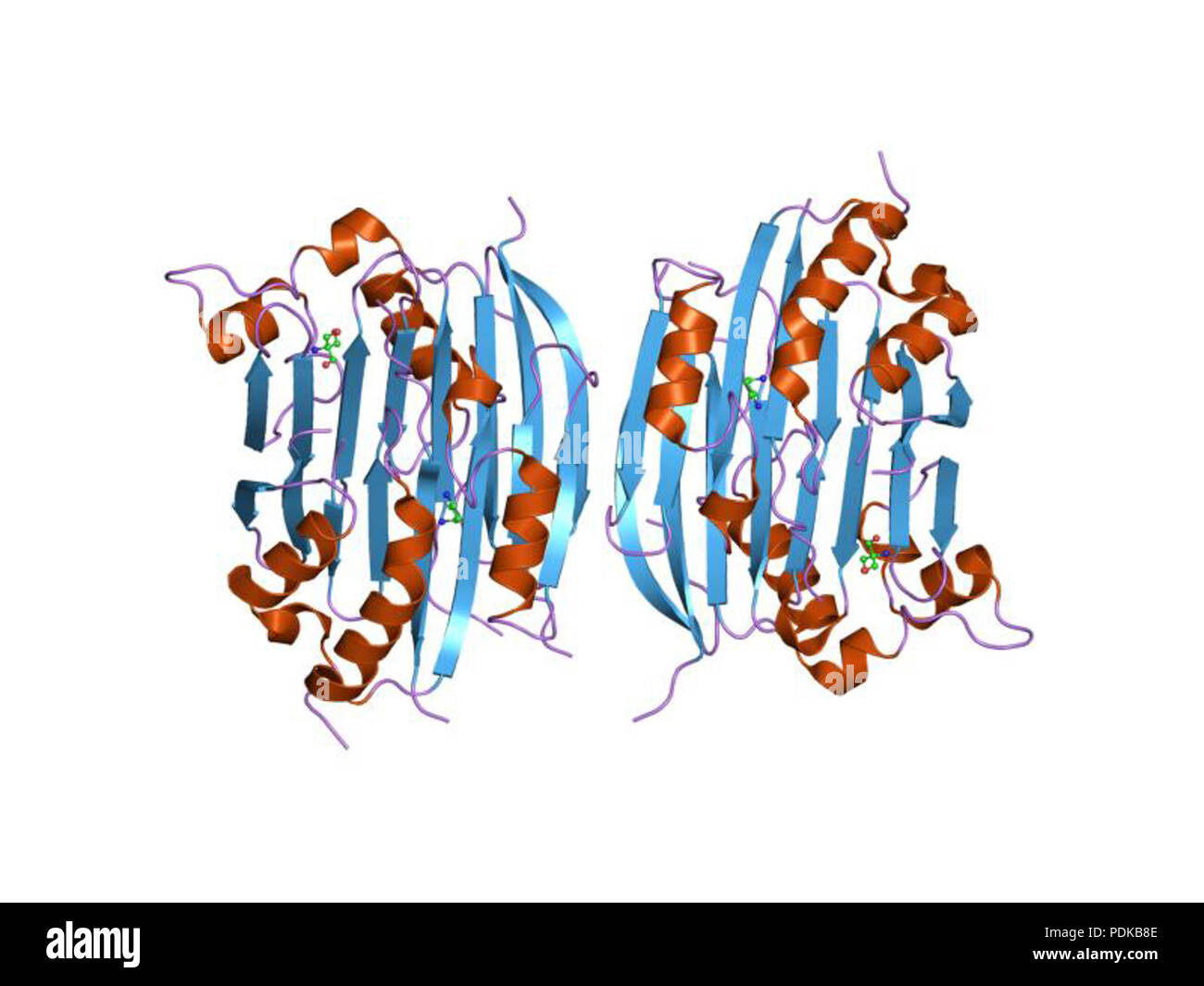 60 HVE 1 jl 0 EBI Stockfoto