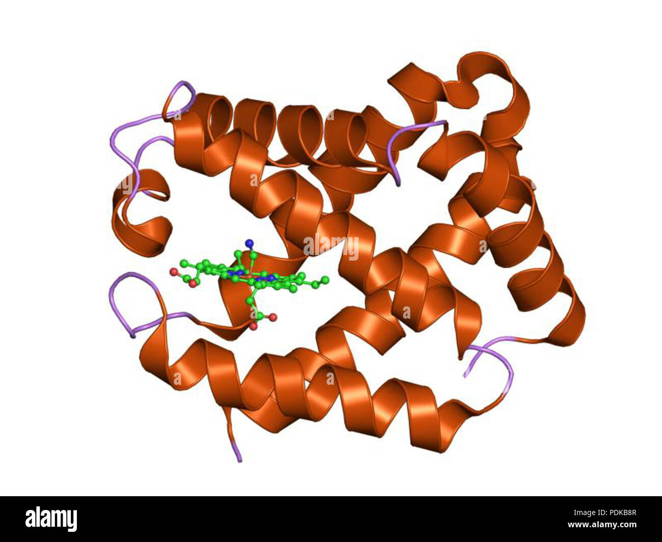 60 HVE 1 jl 7 EBI Stockfoto