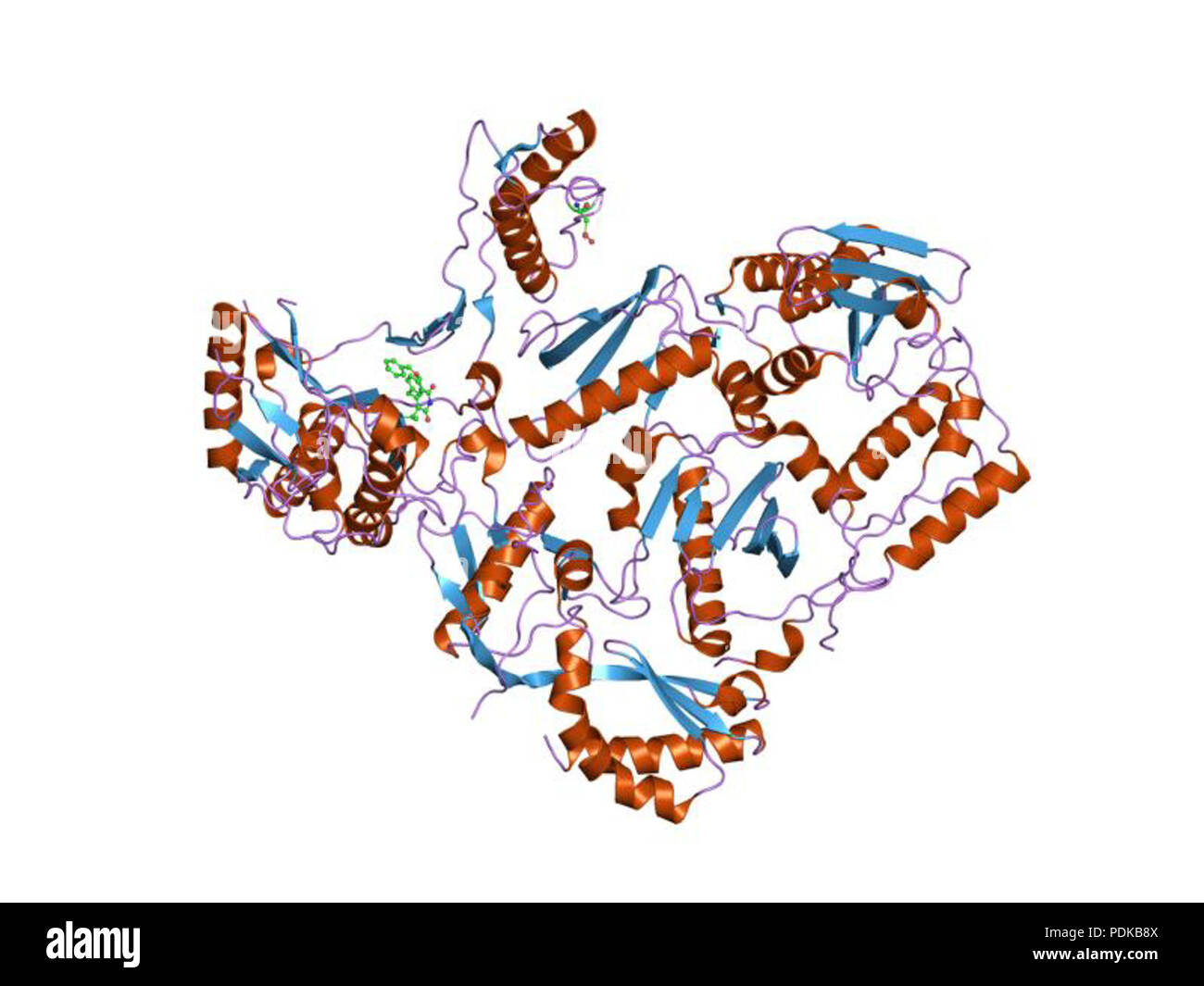 60 HVE 1 jla EBI Stockfoto