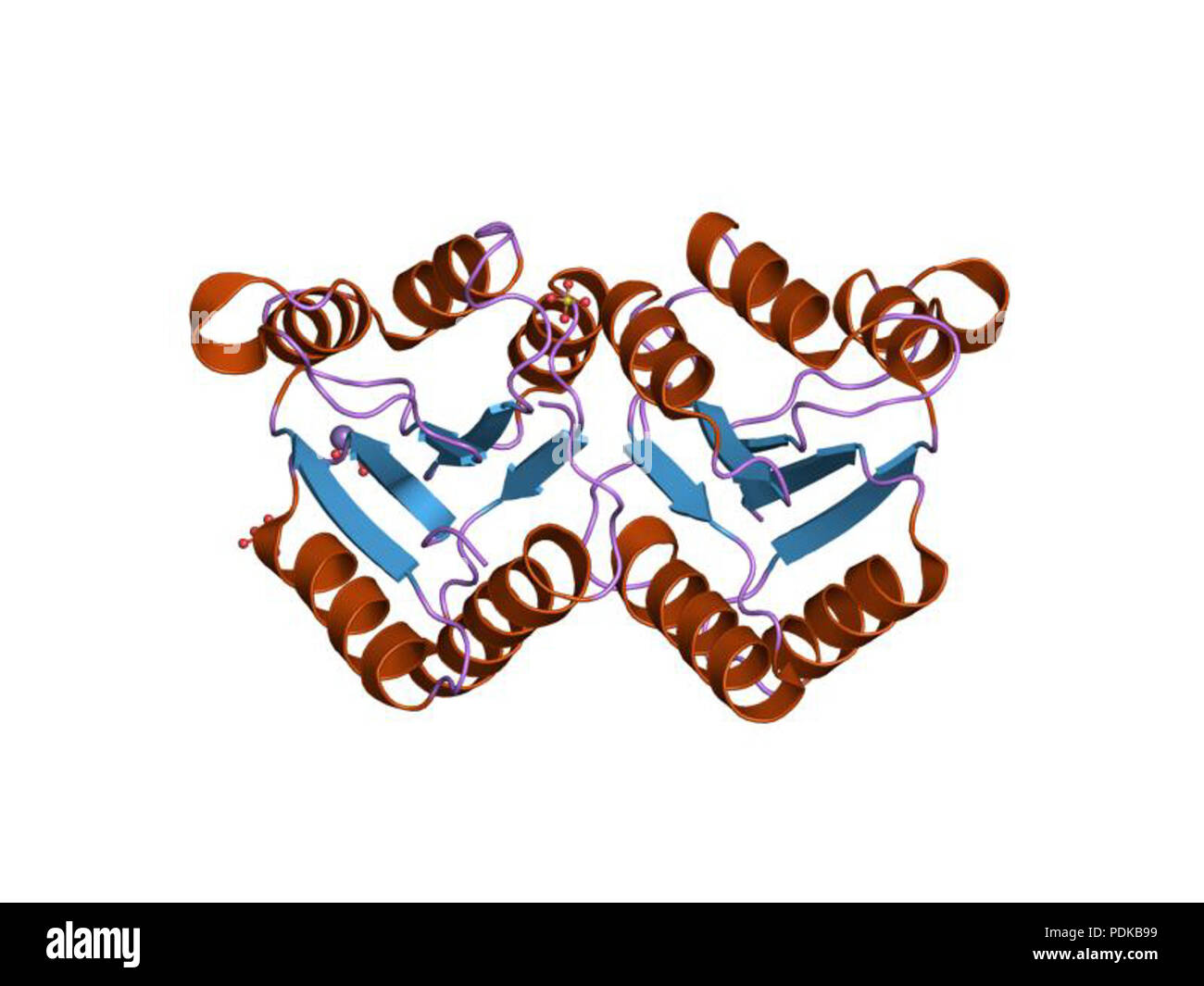 60 HVE 1 jlk EBI Stockfoto