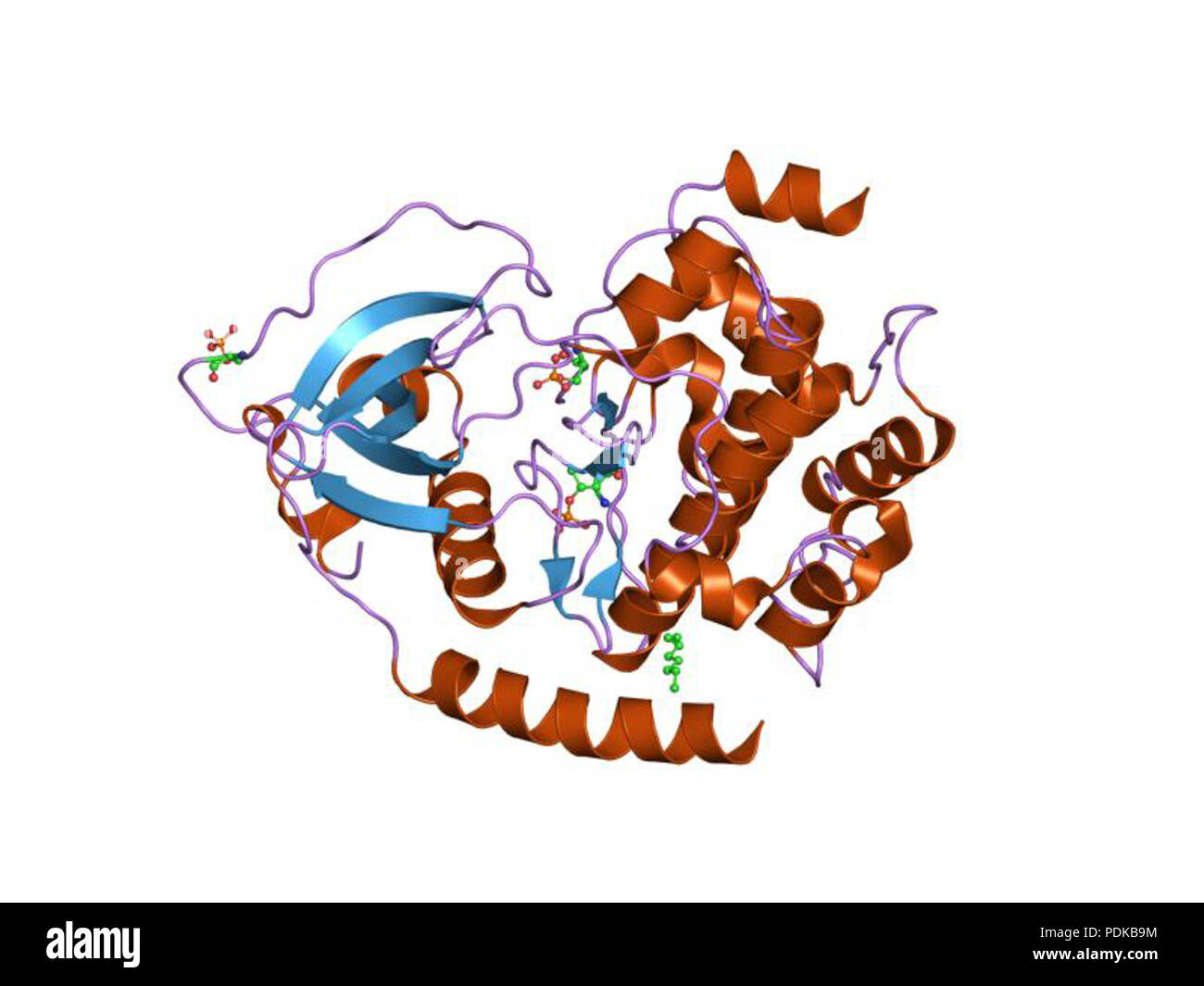 60 HVE 1 jlu EBI Stockfoto