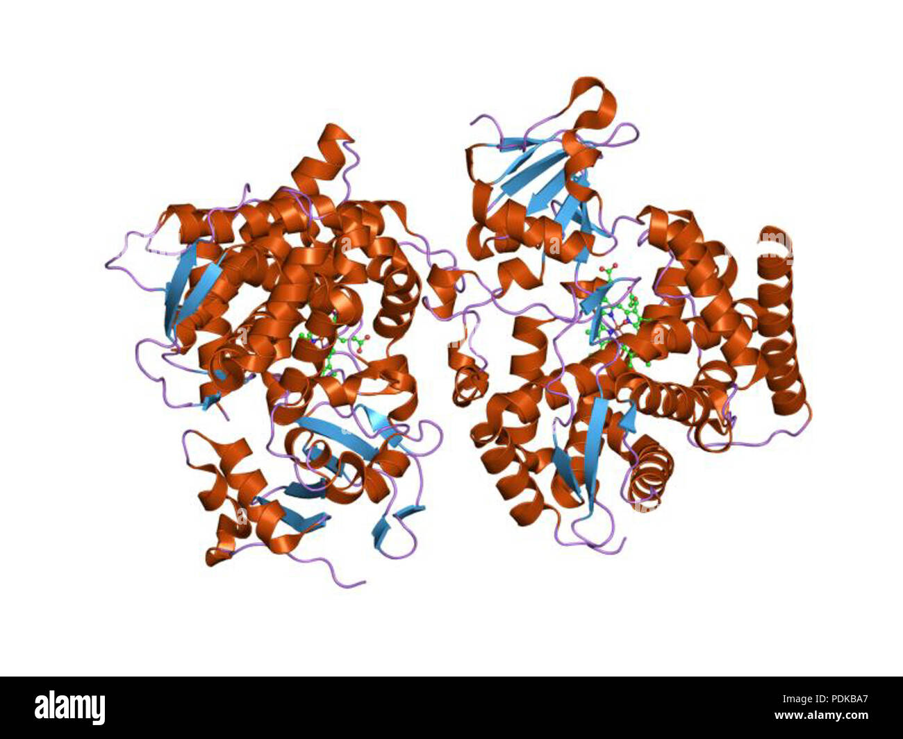 60 HVE 1 jme EBI Stockfoto
