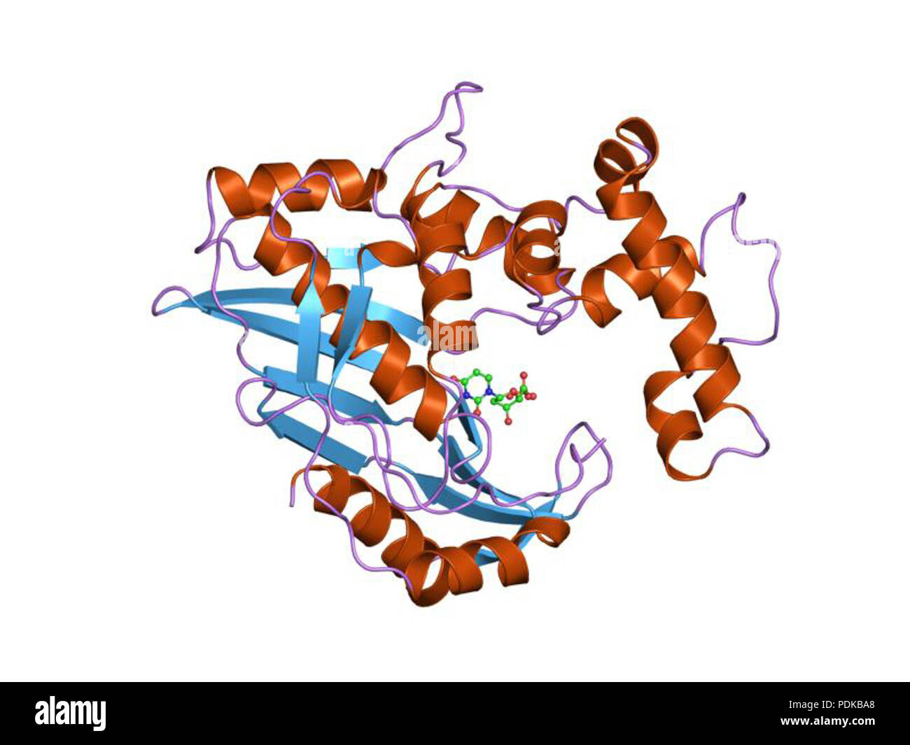 60 HVE 1 jmf-EBI Stockfoto