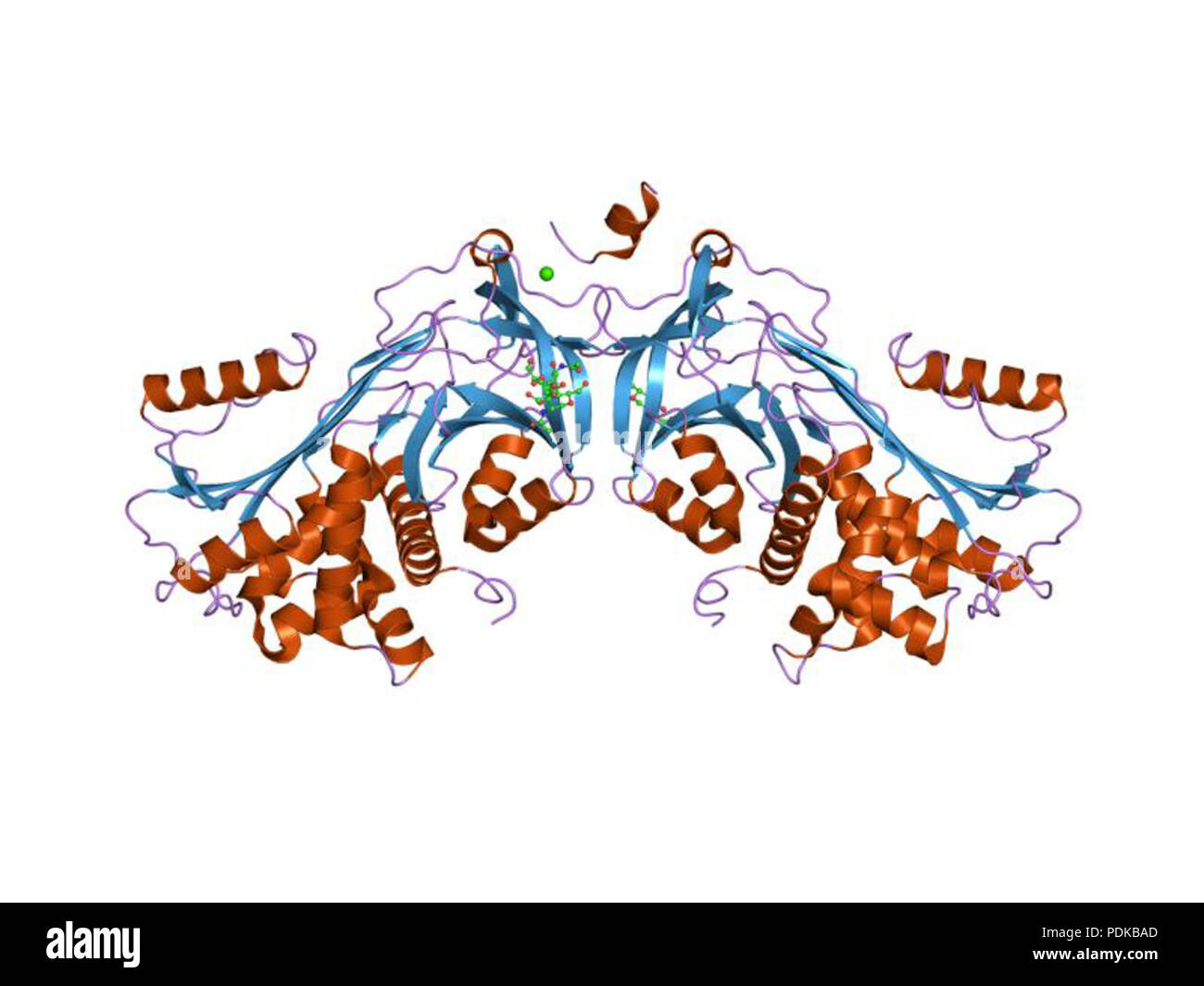 60 HVE 1 jmj EBI Stockfoto