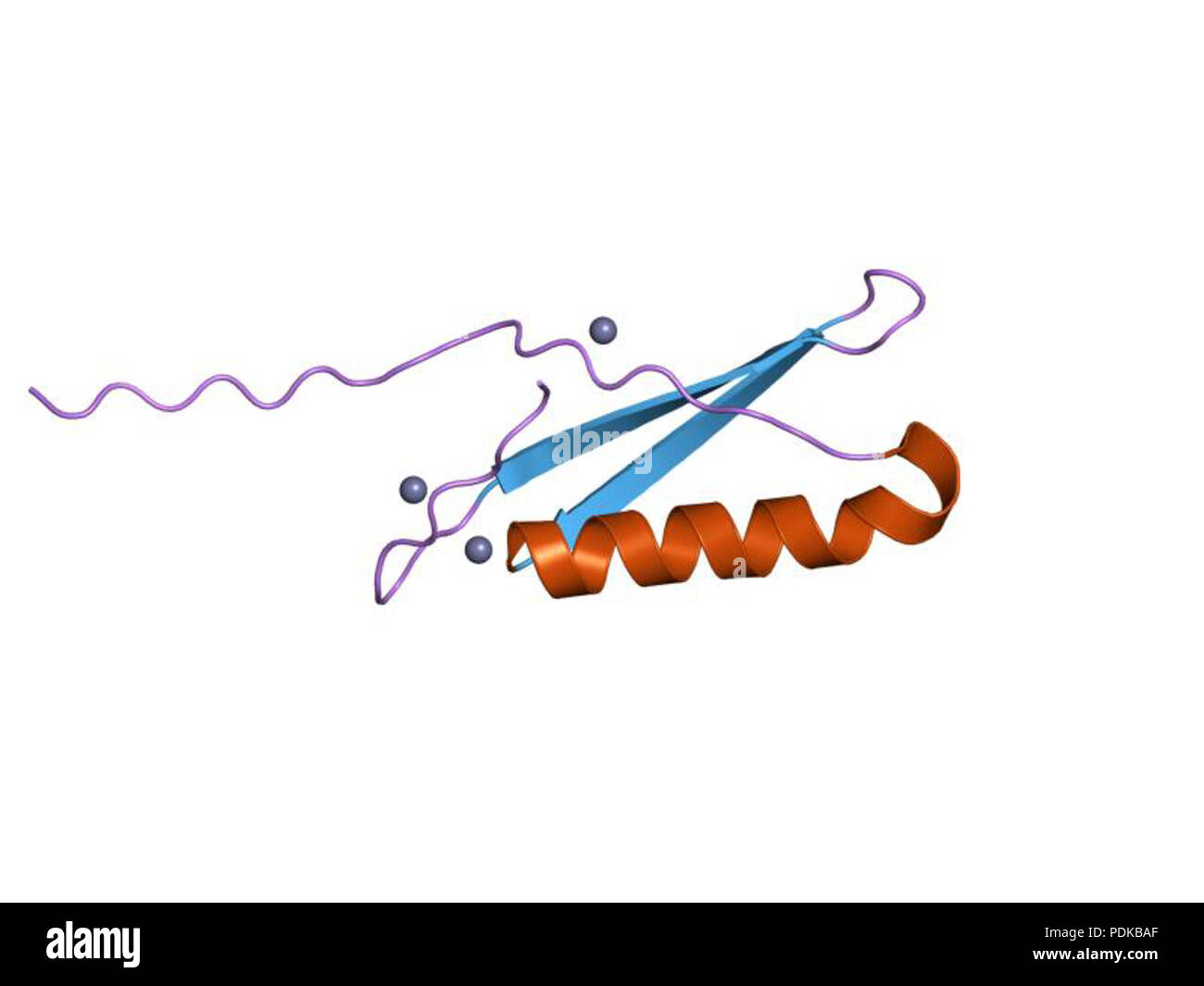 60 HVE 1 jml EBI Stockfoto