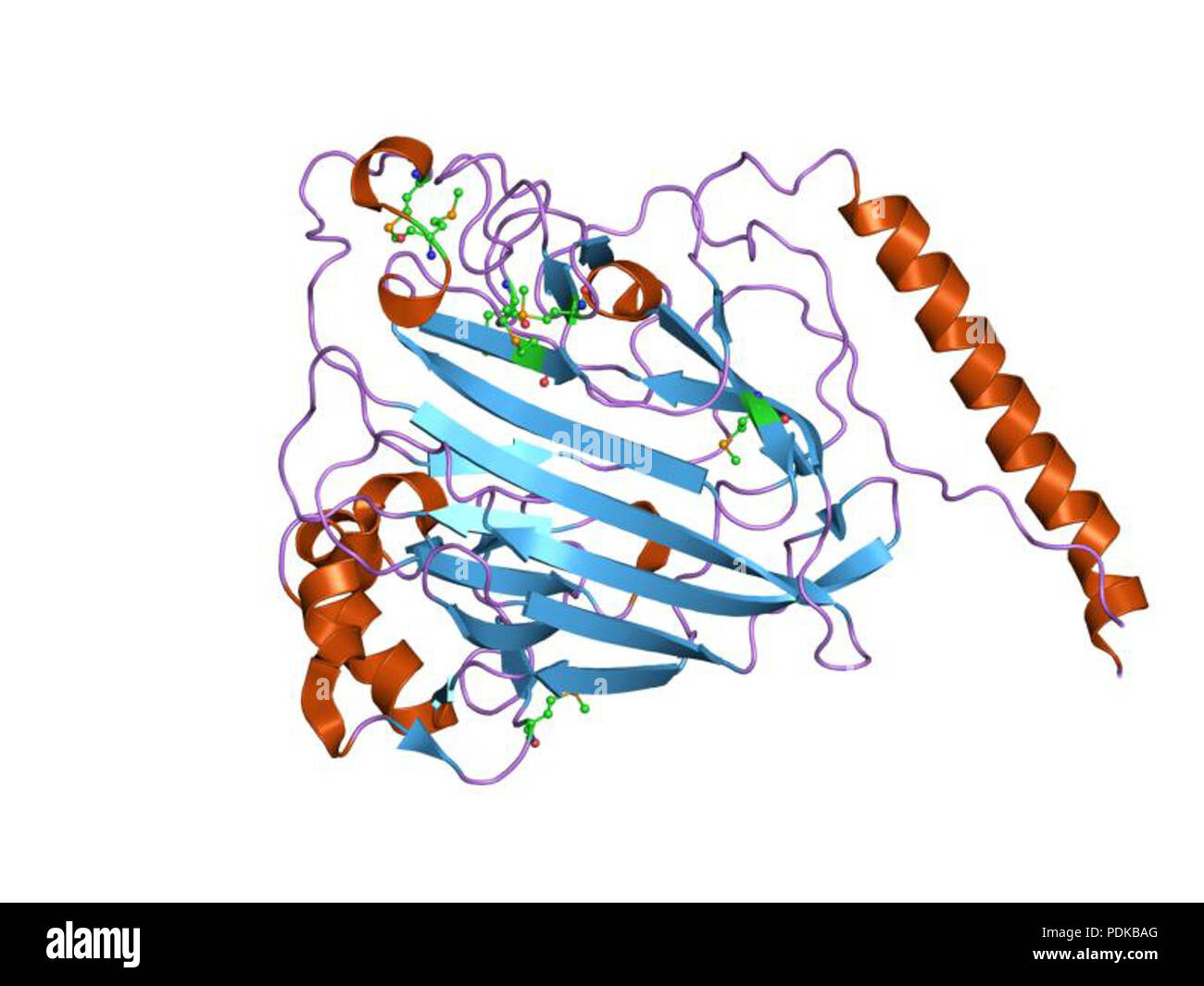 60 HVE 1 jmm EBI Stockfoto