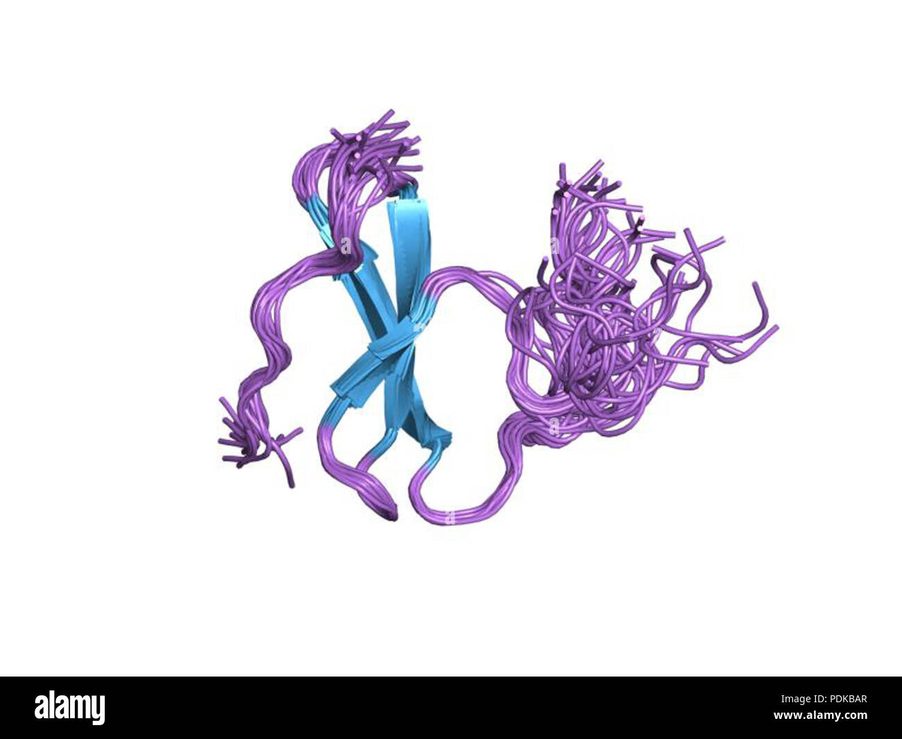 60 HVE 1 jmq EBI Stockfoto